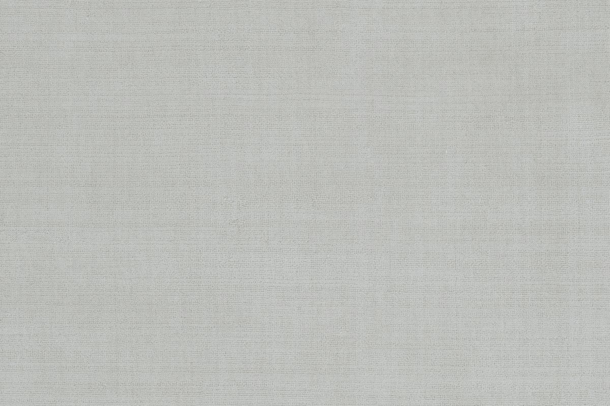 T01009303_CL