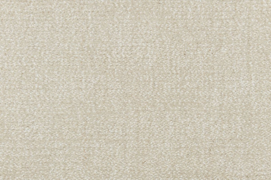 T01009504_CL