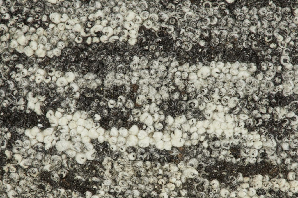 T01009918_CL