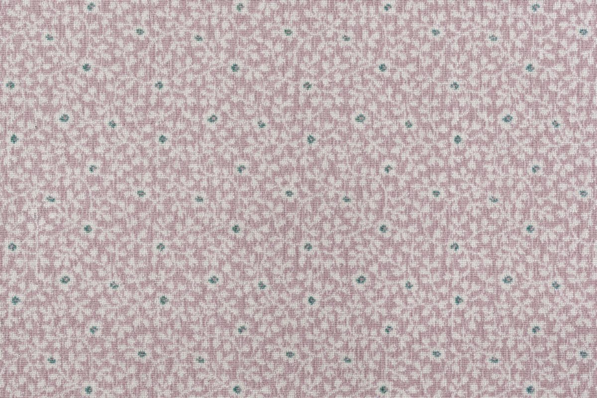 T01010023_CL