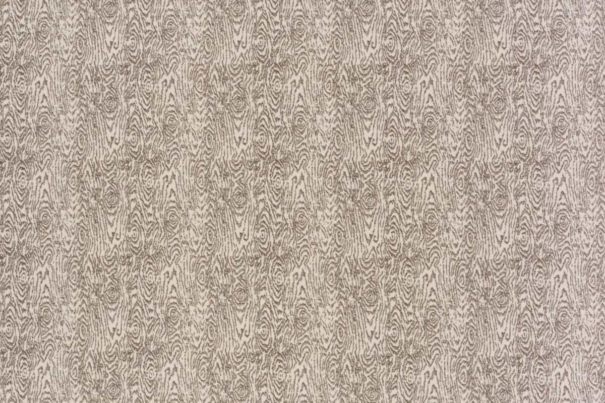 T01010191_ALT2