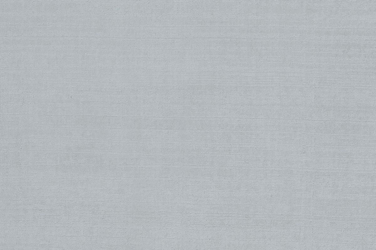 T01010383_CL