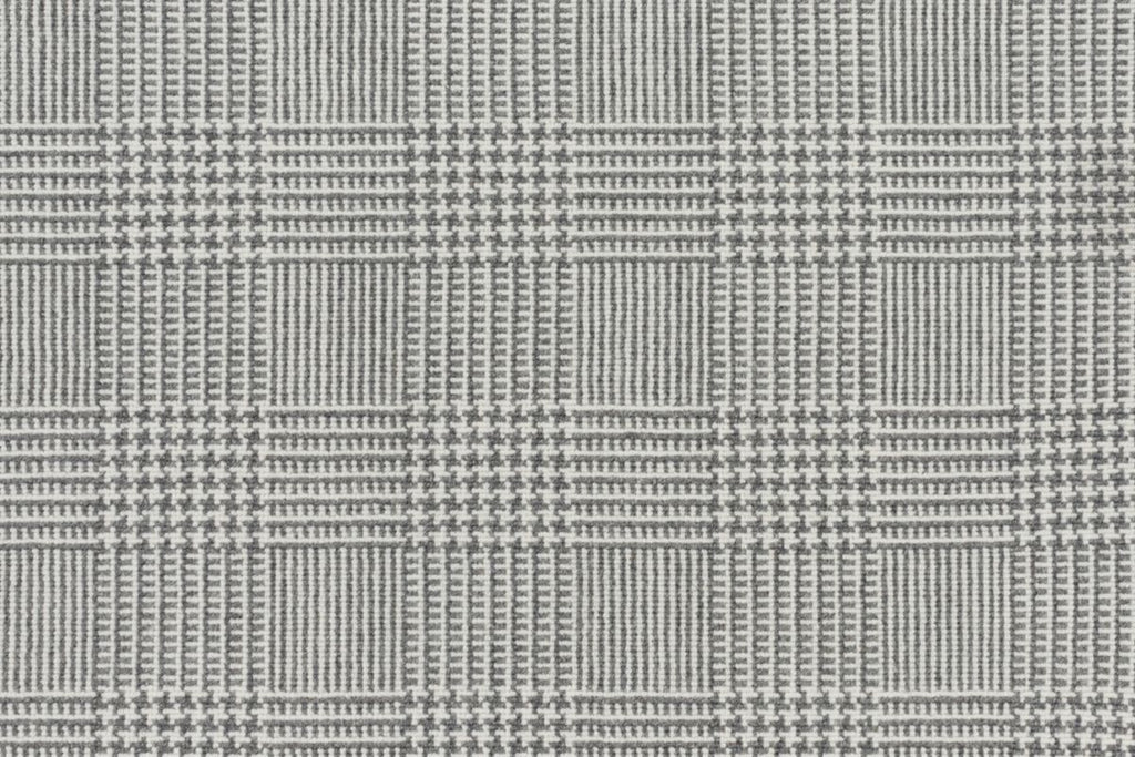 T01010569_CL