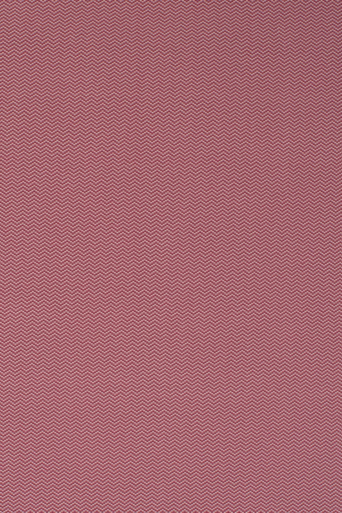 T01010588_ALT2