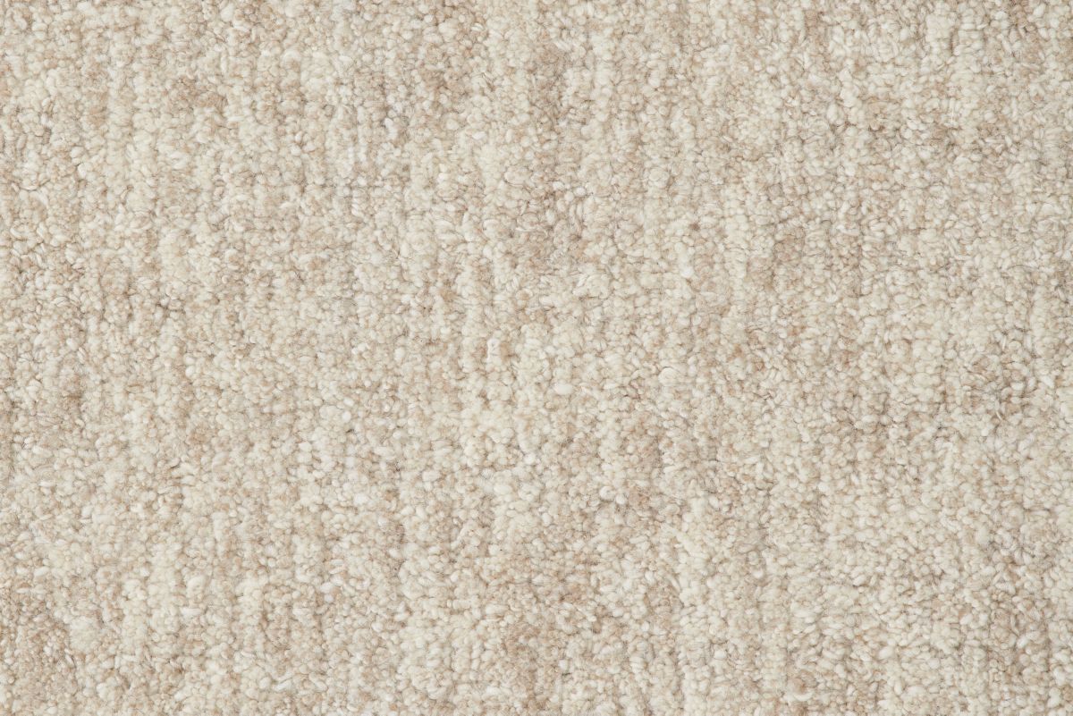 T01010600_CL