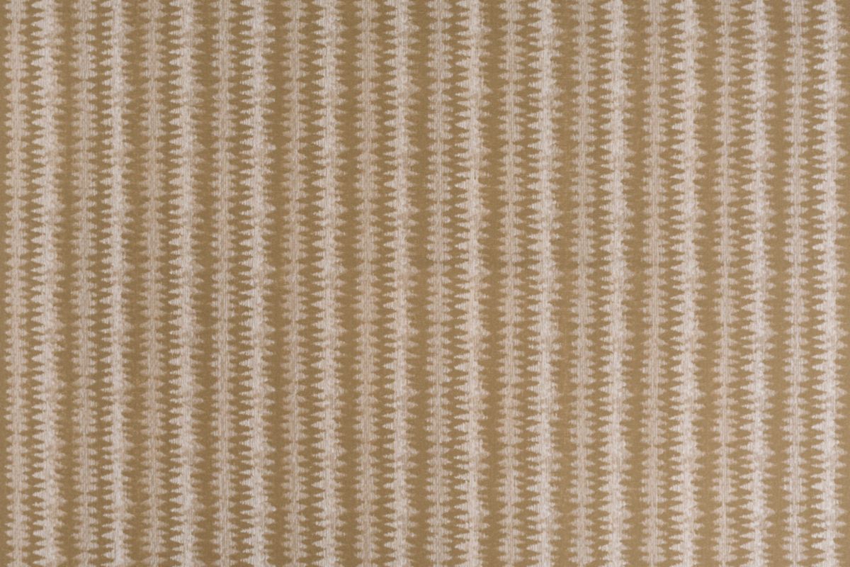 T01010635_ALT2