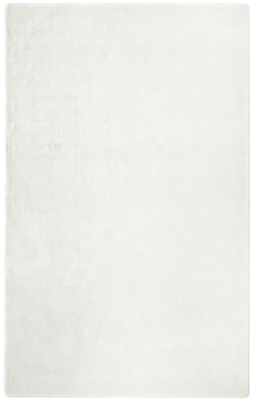 T01011071