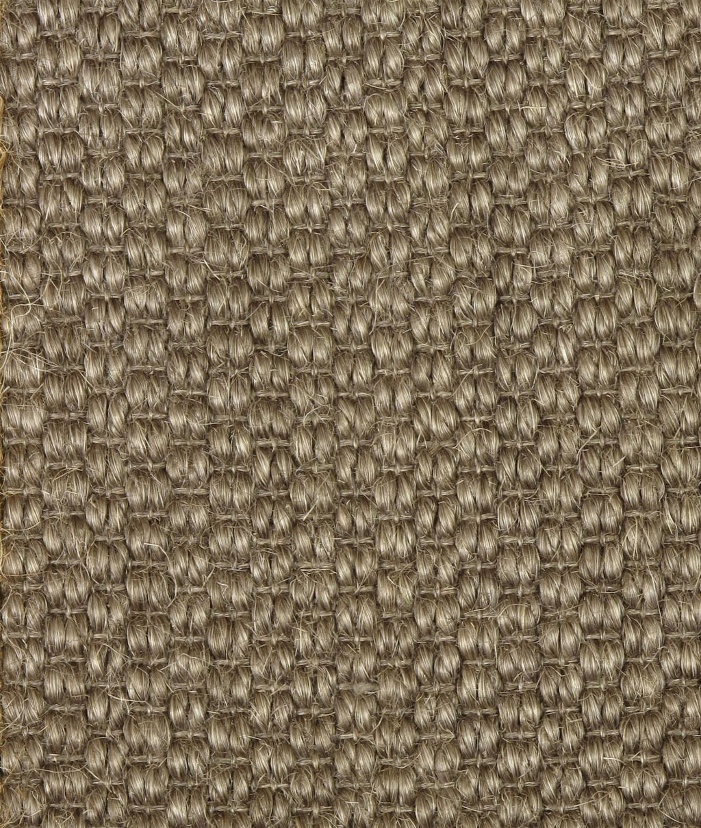 T01011812