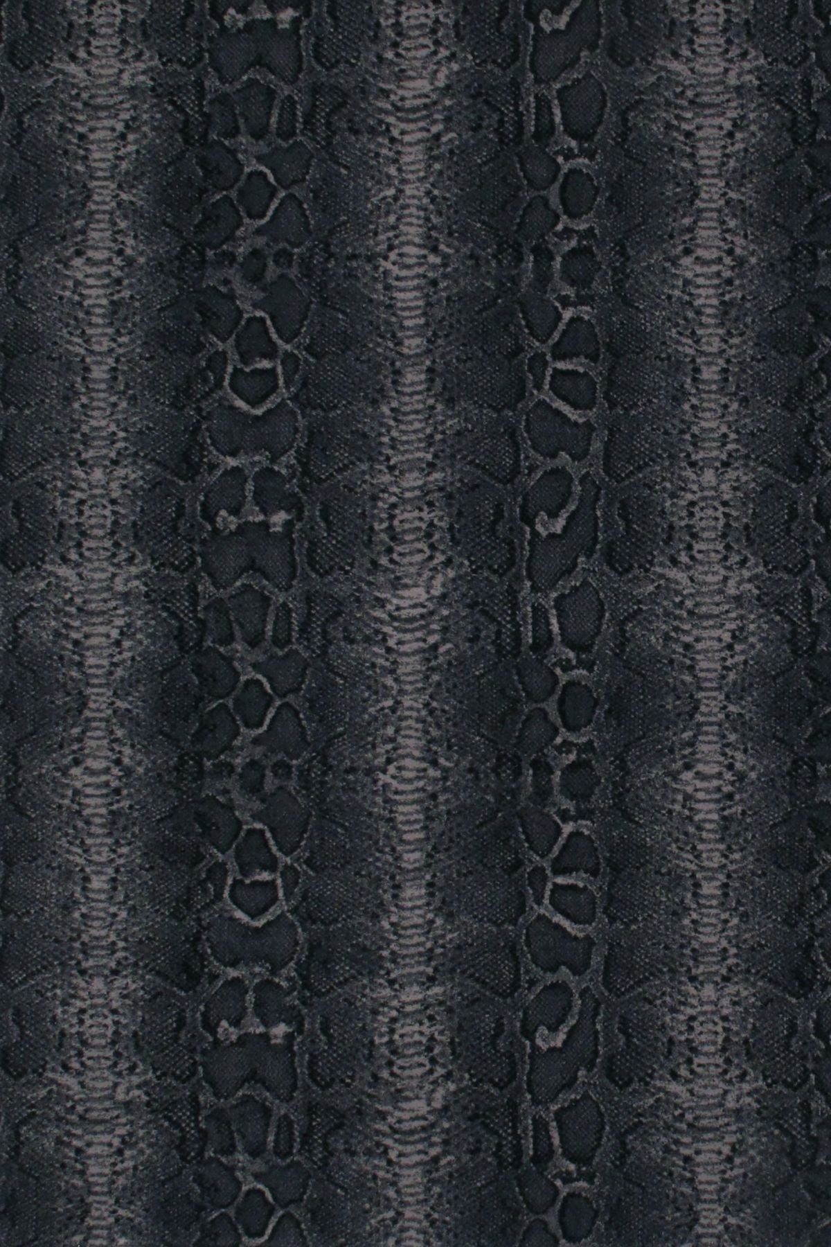 T01012403_ALT2