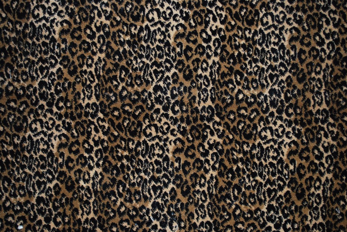 T01013564_SAMPLE