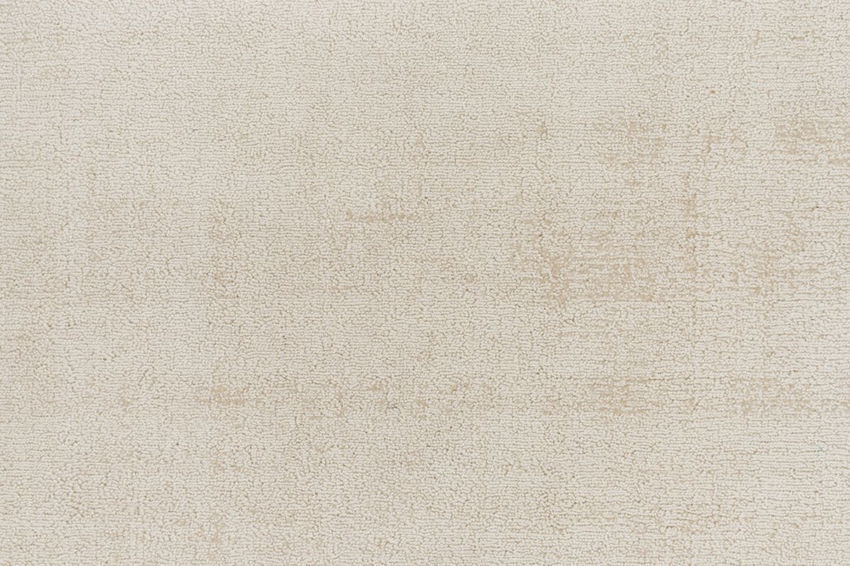 T01013606_CL