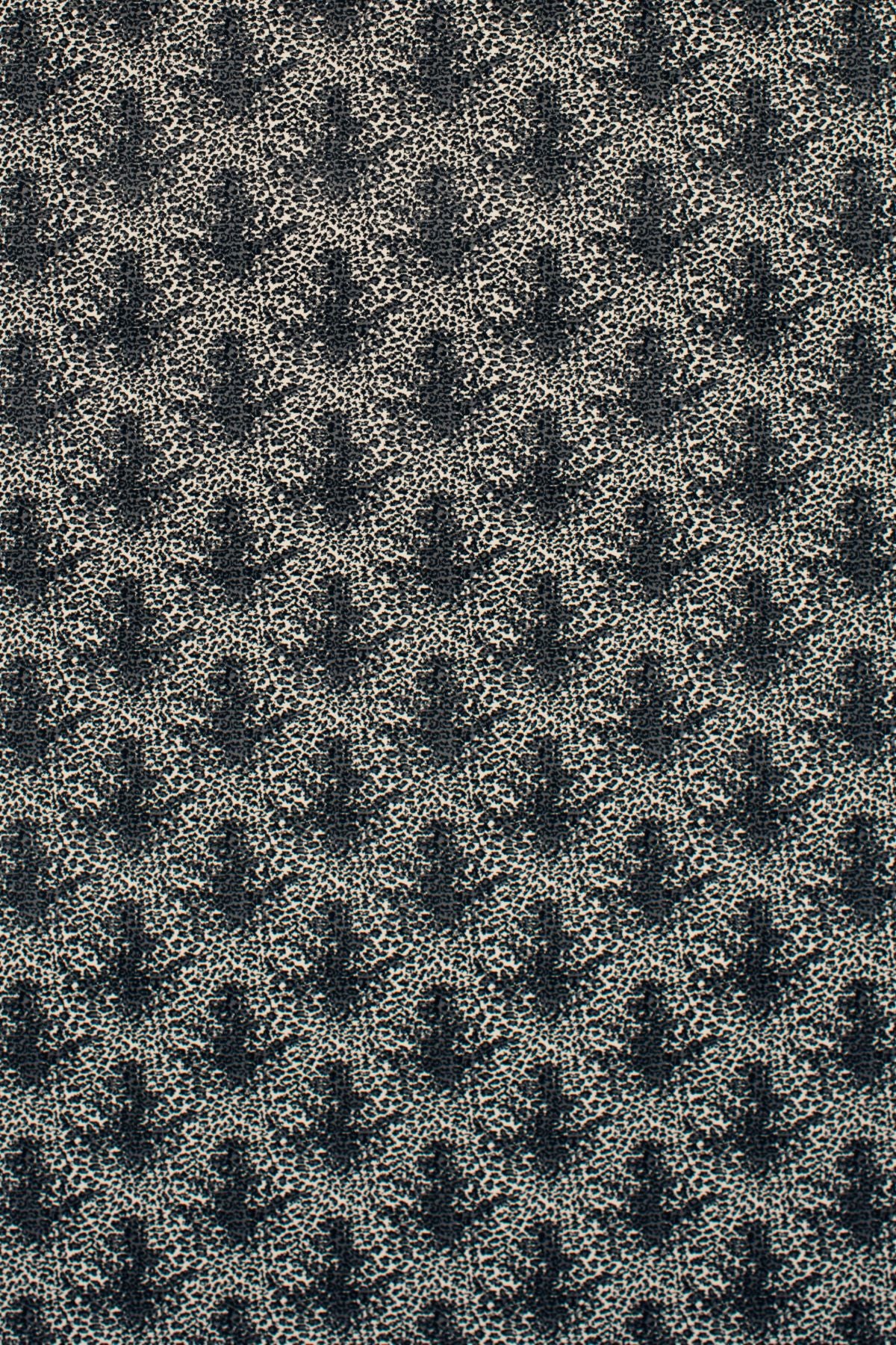T01013988_ALT2