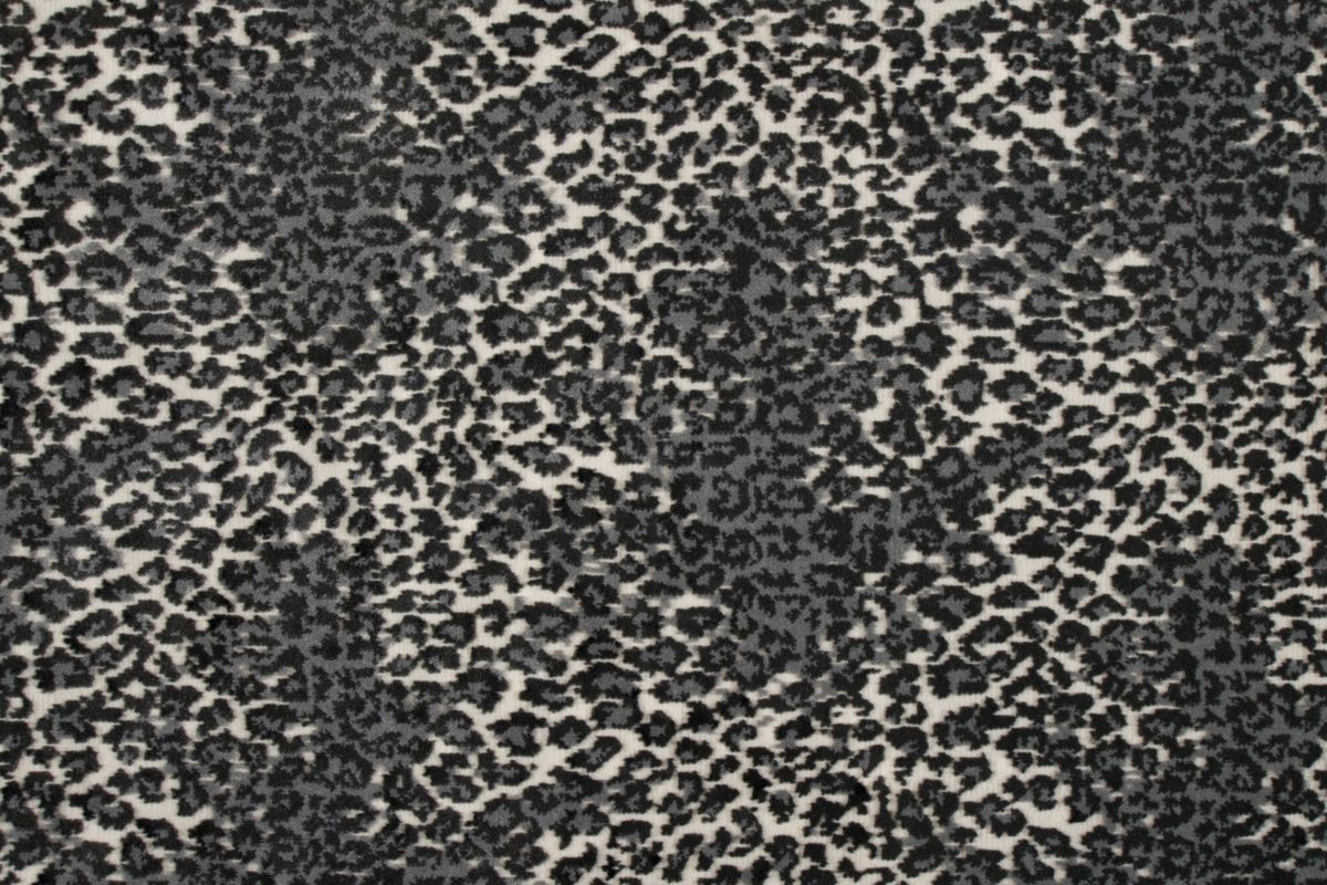 T01013988_CL