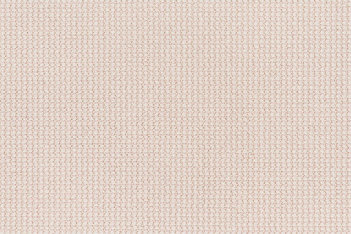 T01014204_CL