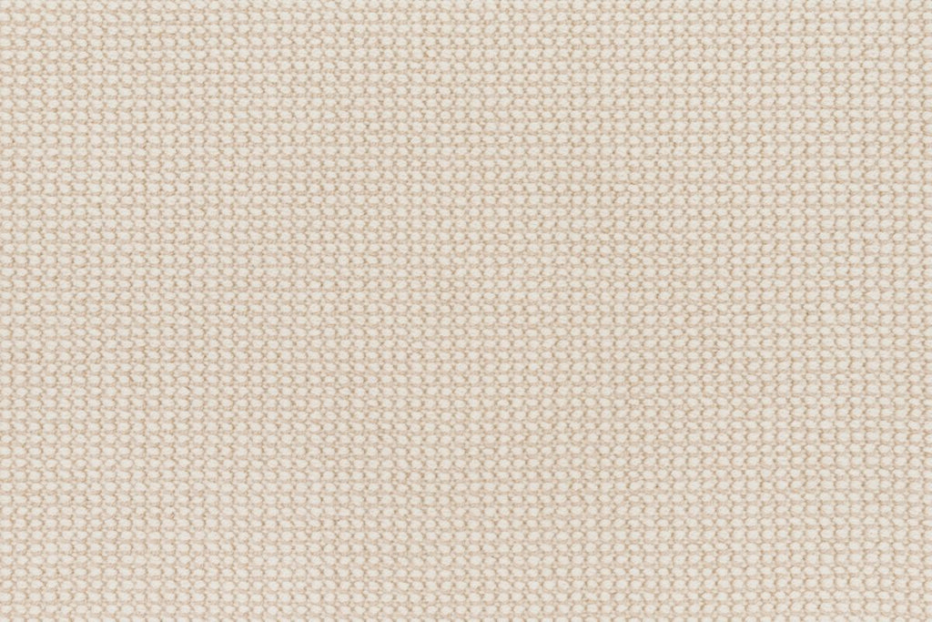 T01014209_CL