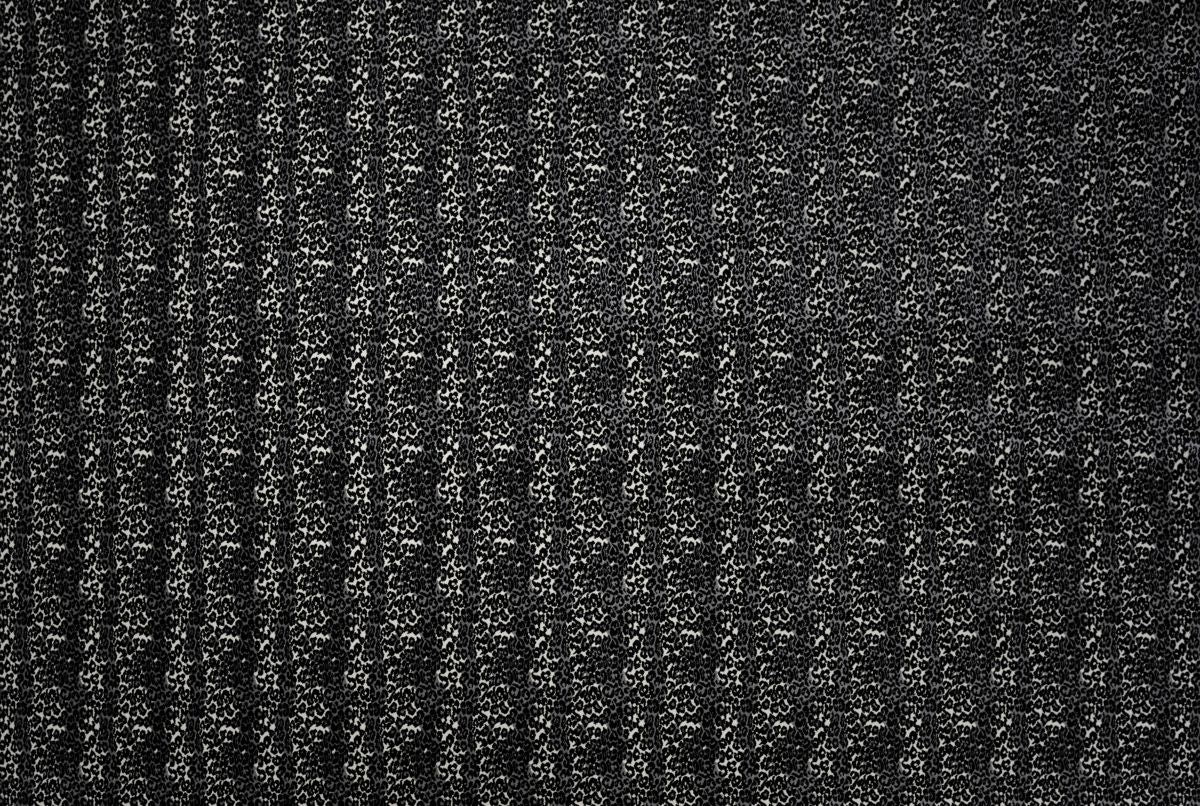 T01014242_ALT2