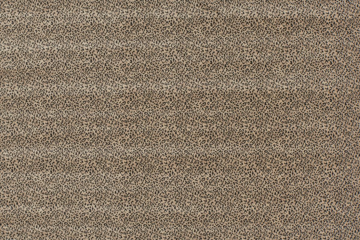 T01014258_ALT2