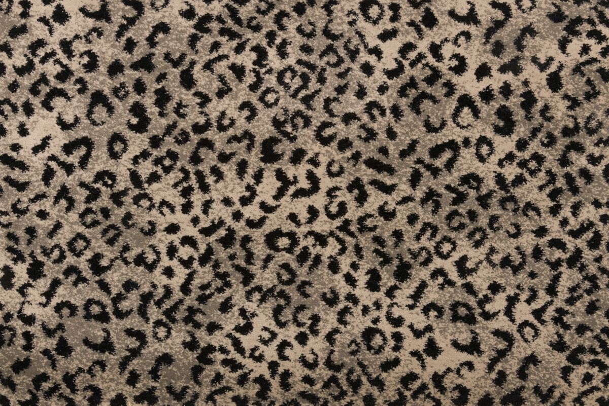 T01014258_CL