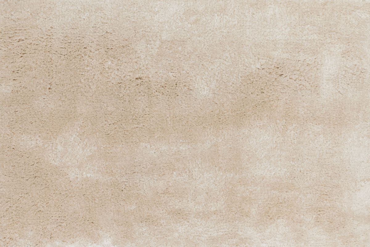 T01014293_CL