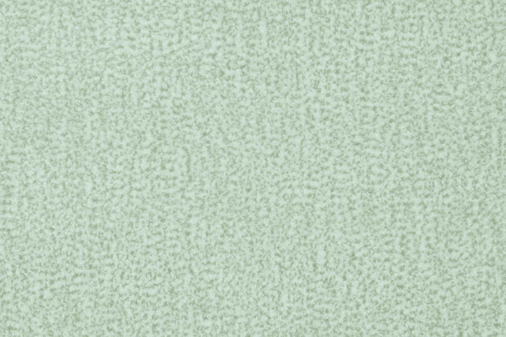 T01014636_CL