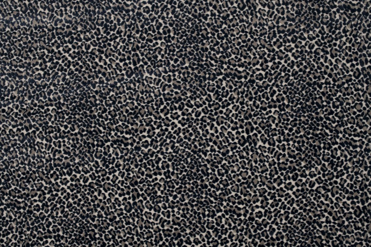 T01015362_CL