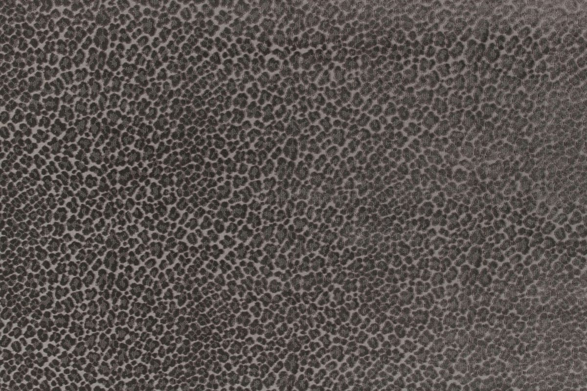 T01015363_CL