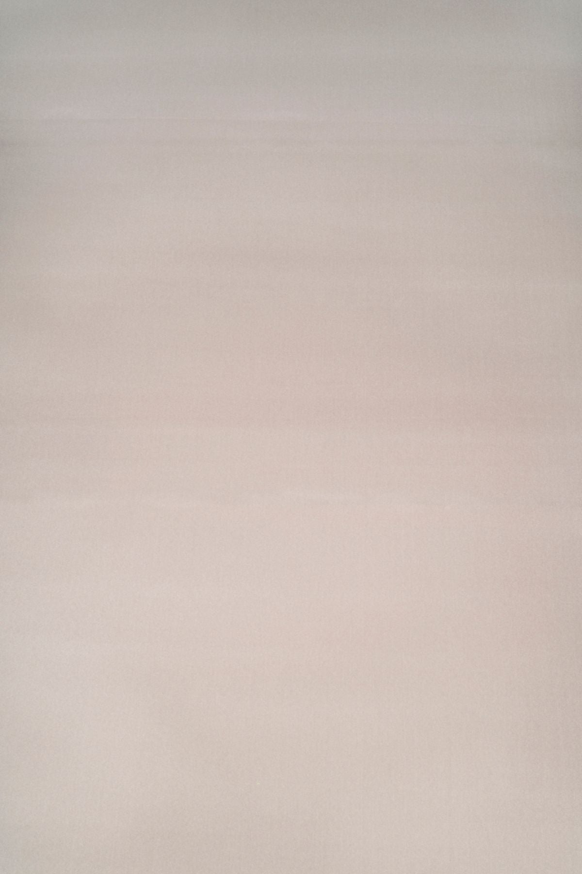 T01015937_ALT2