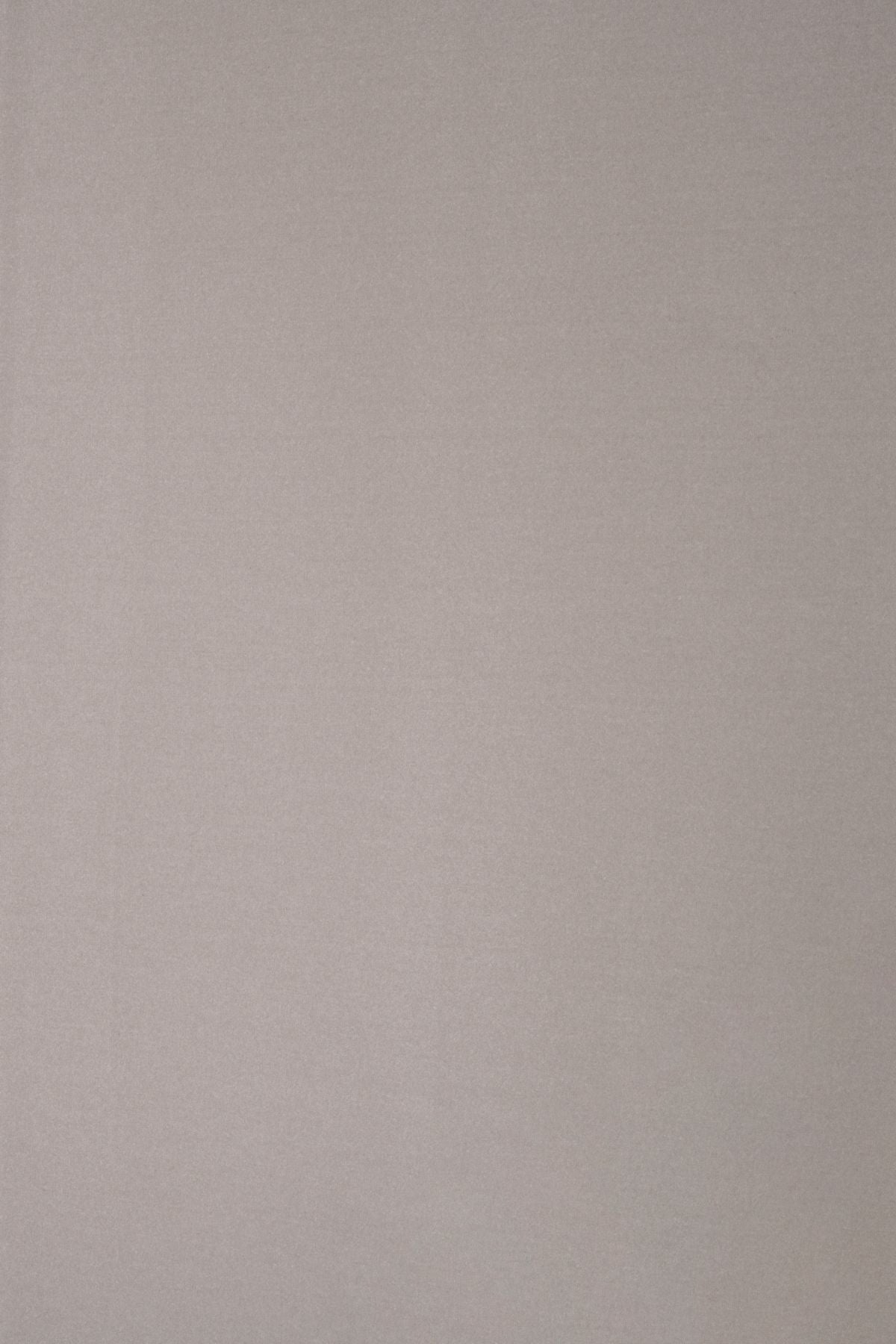 T01015940_ALT2