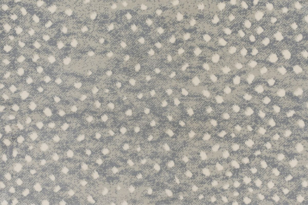 T01016433_CL