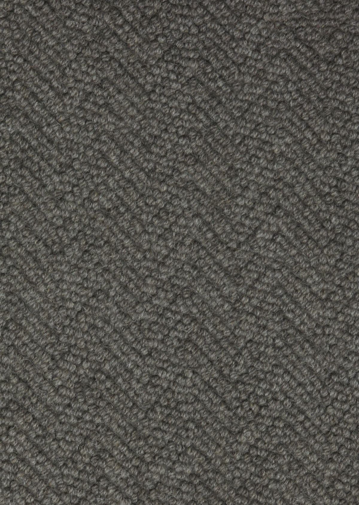 T01016638
