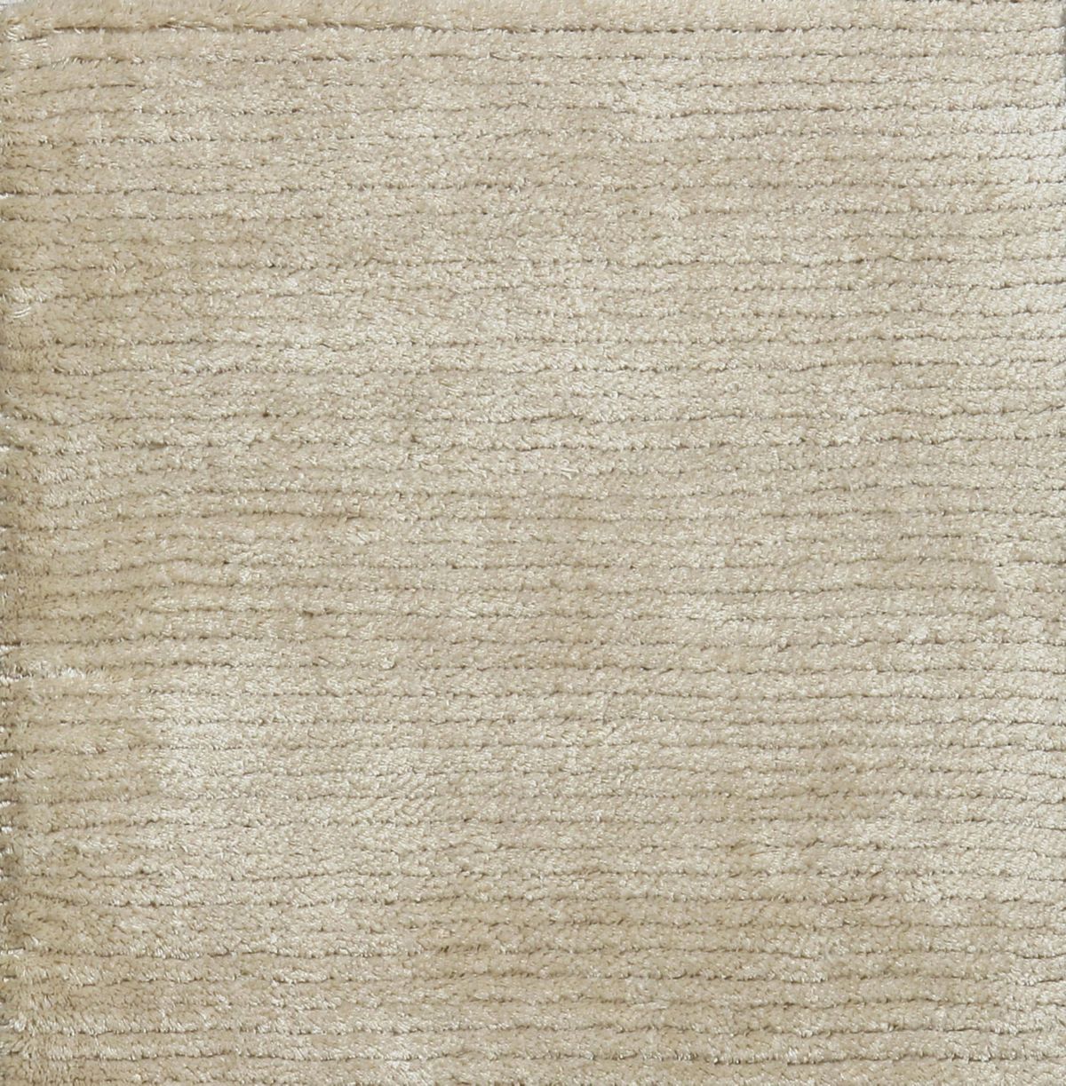 T01016923