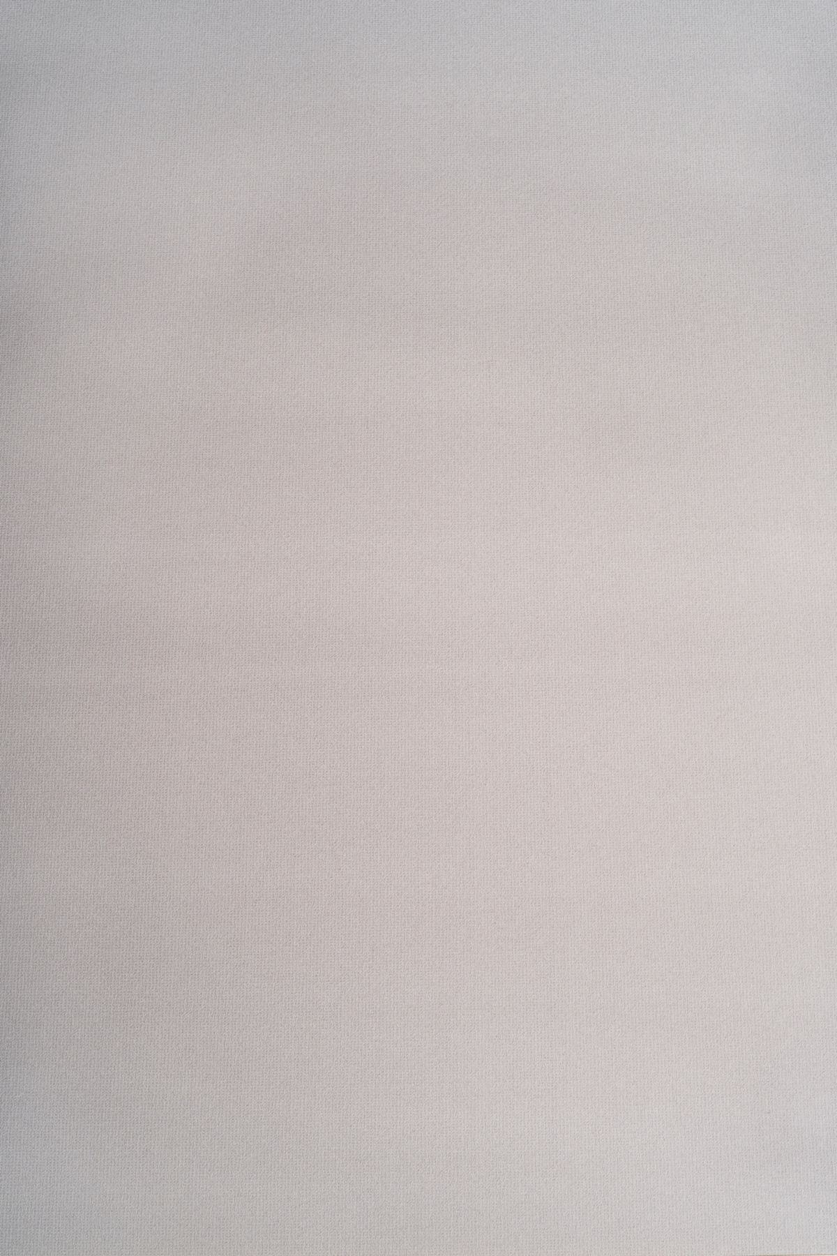 T01017018_ALT2