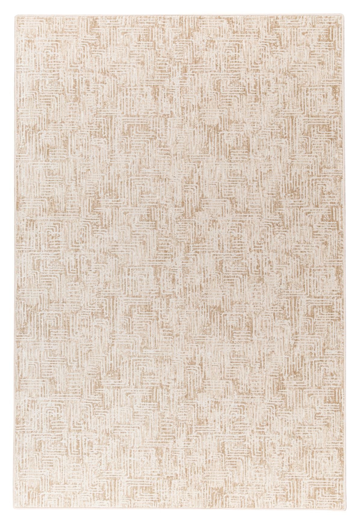 T01017086