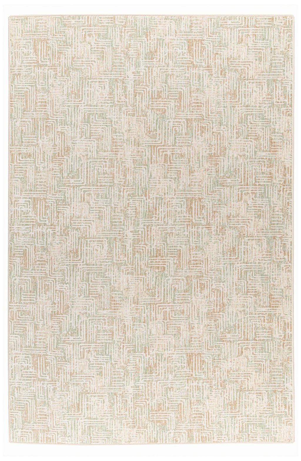T01017088