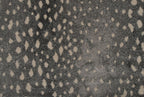 Titanium