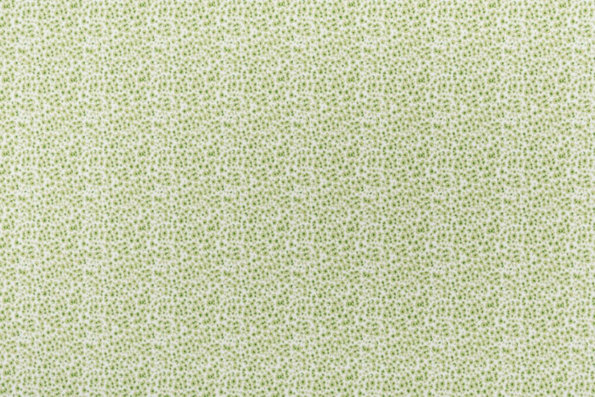 Margarita/grass